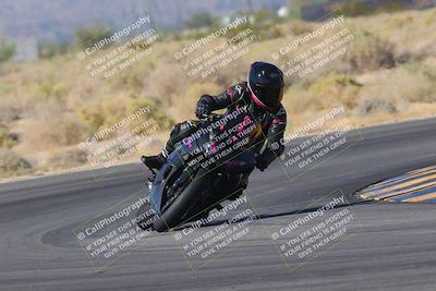 media/Nov-11-2023-SoCal Trackdays (Sat) [[efd63766ff]]/Turn 16 (11am)/